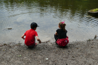 Archiv - Forschen am Waldweiher.
