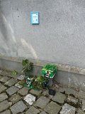Aktuelles