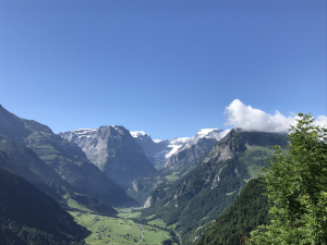 Alte Beiträge