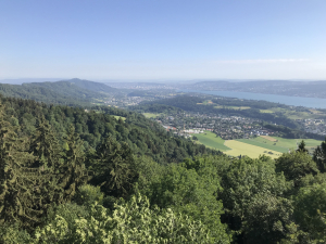 Alte Beiträge