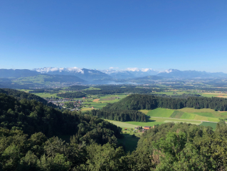 Alte Beiträge