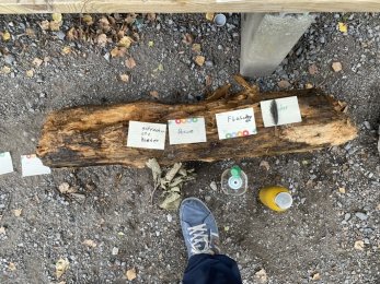 Aus unserem Schulalltag