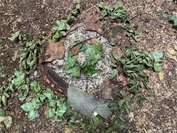 Aus unserem Schulalltag