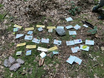 Aus unserem Schulalltag