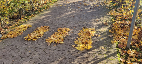 Aus unserem Schulalltag