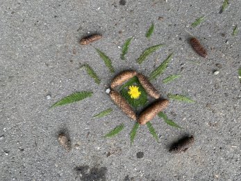 Aus unserem Schulalltag