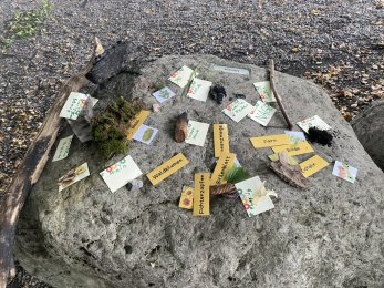 Aus unserem Schulalltag