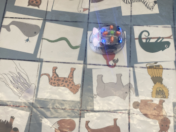 Aus unserem Schulalltag