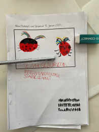 Archiv - Der letzte kleine Schümirat stand unter dem Motto «Wie feiert ihr in der Klasse einen Geburtstag?». Nachdem keine Anliegen aus den Kindergärten/Klassen kamen, haben die Delegierten erzählt wie sie ein Geburtstagskind feiern und so von Ritualen, Liedern und Gegenständen berichtet. Diese Ideen wurden 