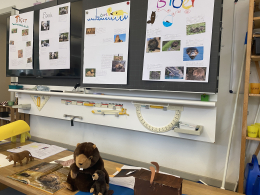 Aus unserem Schulalltag - Präsentation Freiarbeit