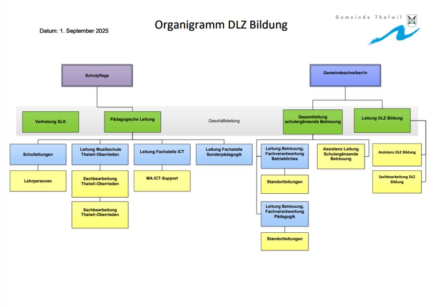 Organigramm